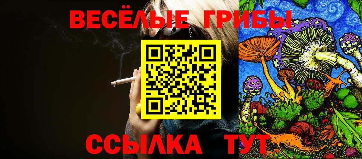 Галлюциногенные грибы ЛСД Кинель