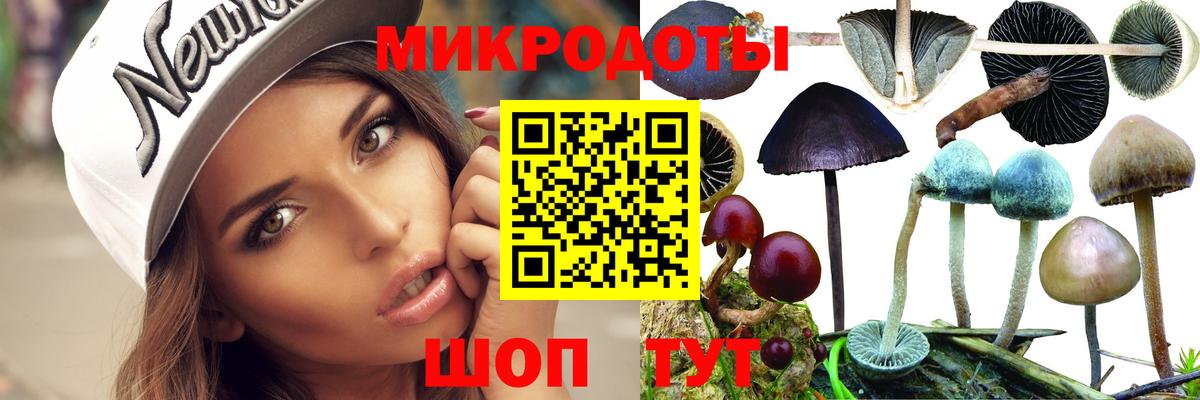 Кинель  Псилоцибиновые грибы мухоморы  Вход с VPN 